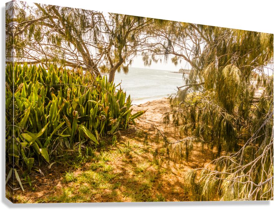 Summer Shading Canvas Print