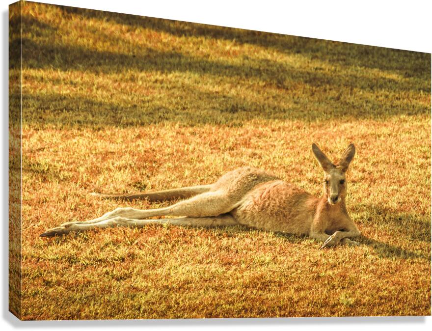 Taking It Easy Mate Canvas Print