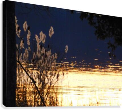 Before Freeze Canvas Print