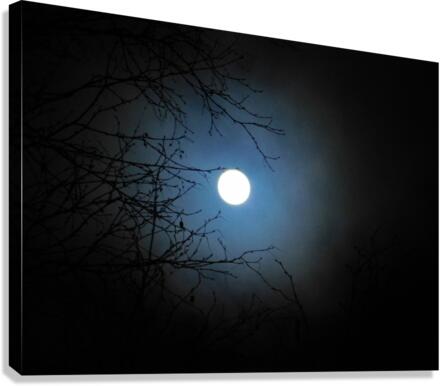 Cold Moon Canvas Print