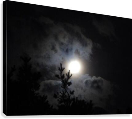 By Moonlight Canvas Print