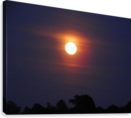 Full Moonlight Canvas Print