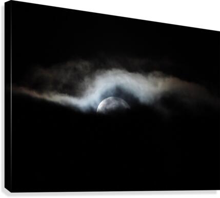 Just a Glimpse Canvas Print