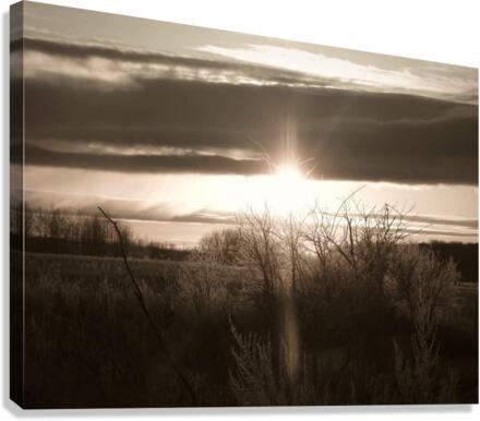 Frosty Still Canvas Print
