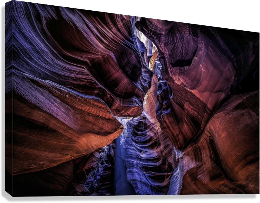 Antelope 14 Canvas Print