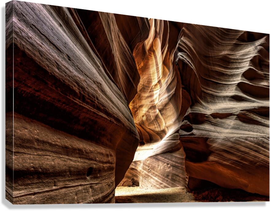 Antelope 4 Canvas Print