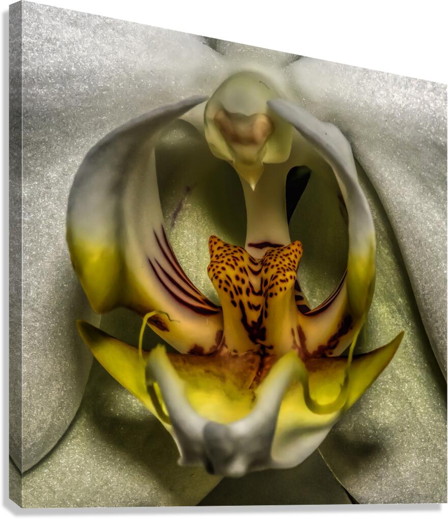 Flower 23 Canvas Print