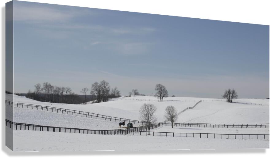 Winter Pasture Canvas Print