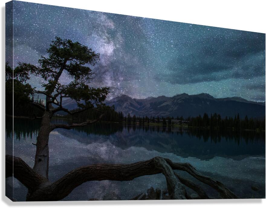 Jasper Canvas Print