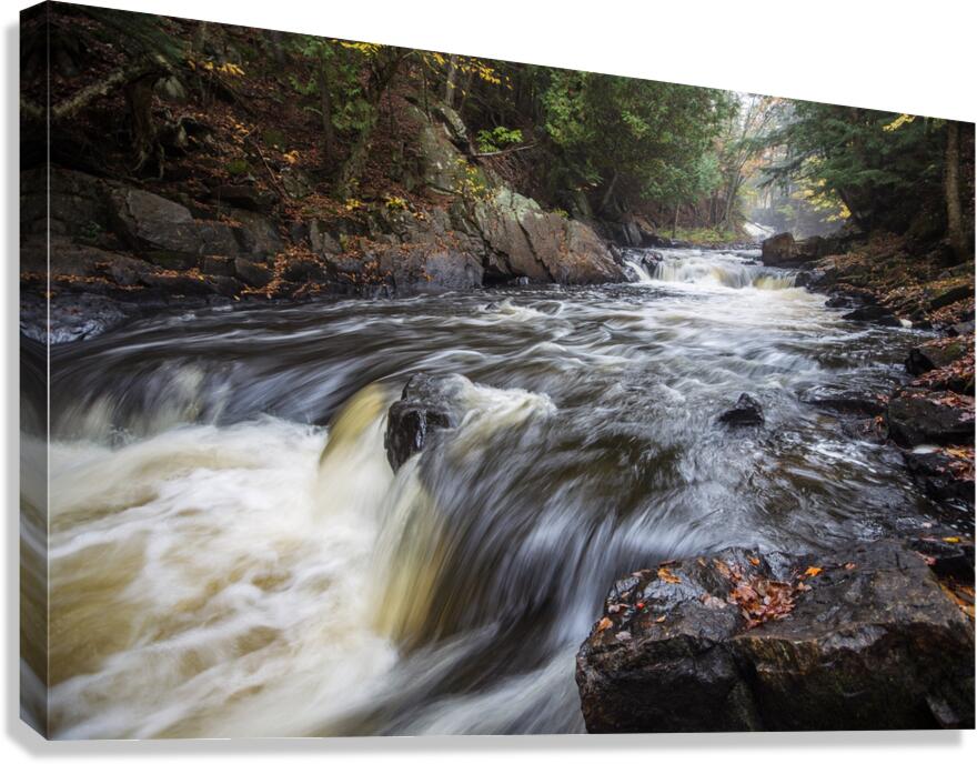 River in Forest Canvas Print