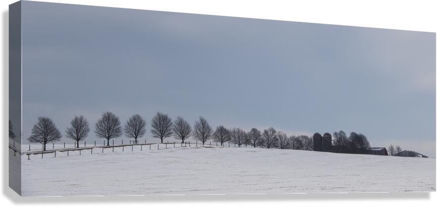 Winter Treeline Canvas Print