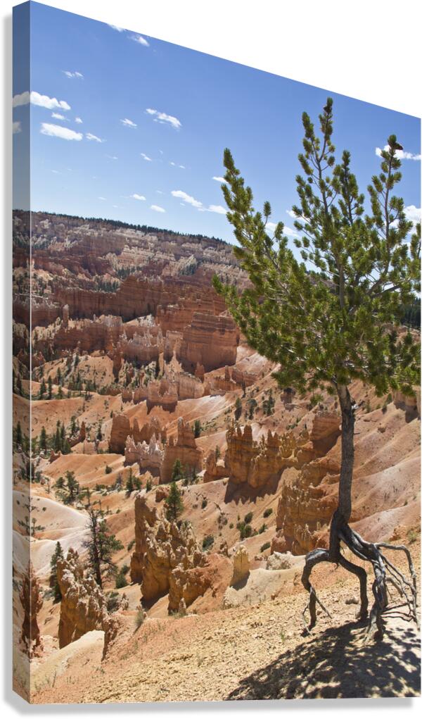 Bryce Canyon Canvas Print