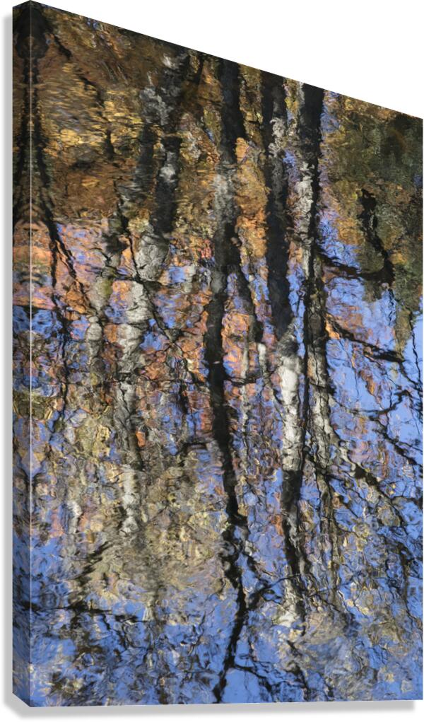 Reflectiions Canvas Print