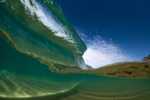 Fluid