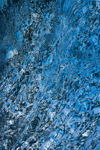 Leopard Blue