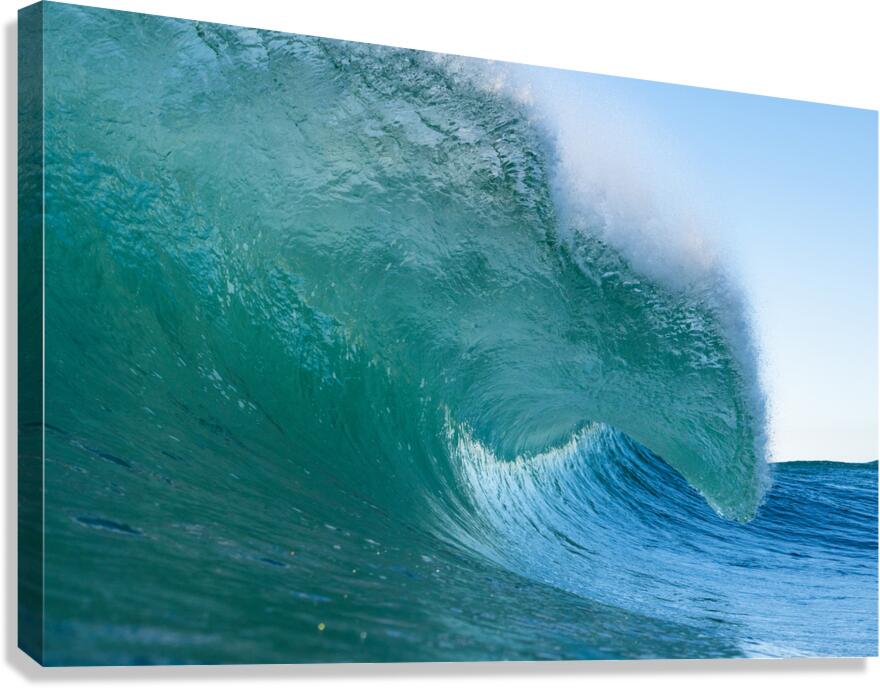 Fuzzy Canvas Print