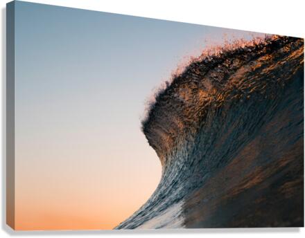 Elegant Canvas Print