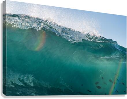 Rainbow Fish Canvas Print