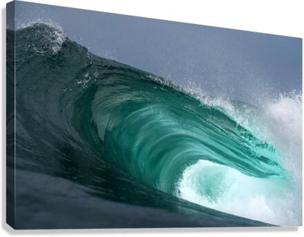 Ocean Wisdom Canvas Print