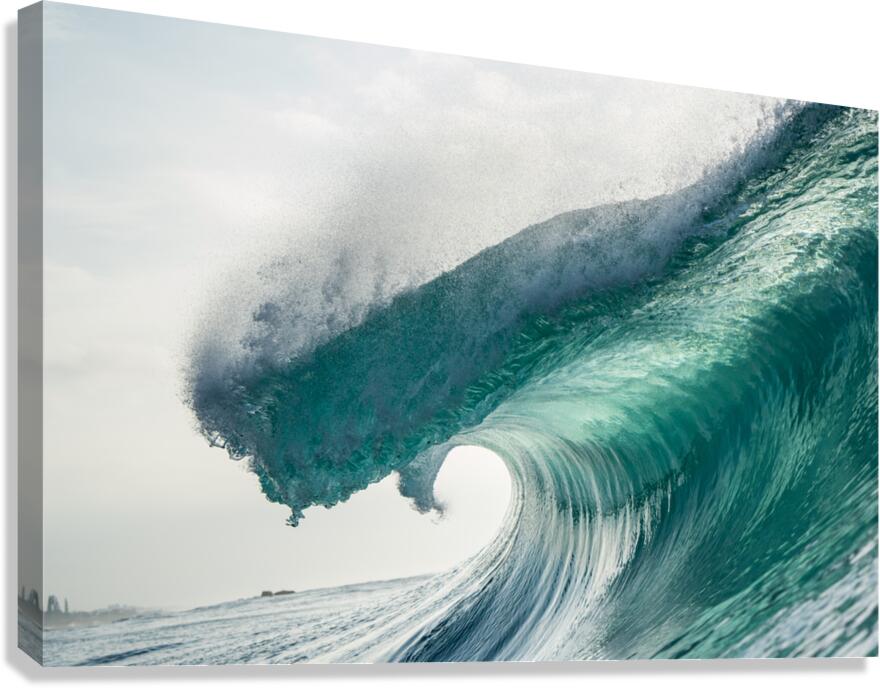 Fang Canvas Print