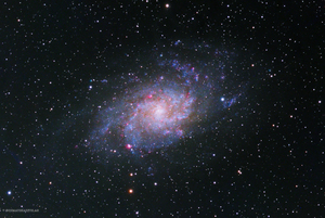 The Triangulum Galaxy 2021