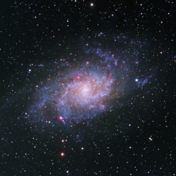 The Triangulum Galaxy 2021