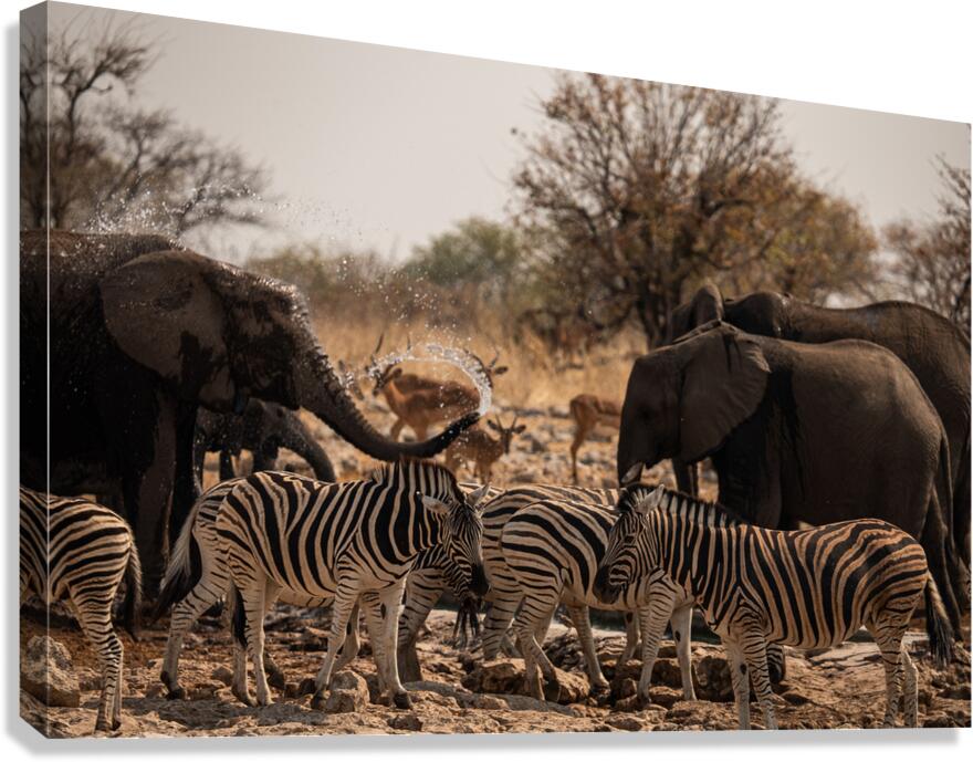 Safari Canvas Print