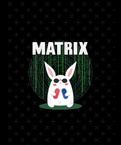 The Matrix 43