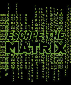 The Matrix 28