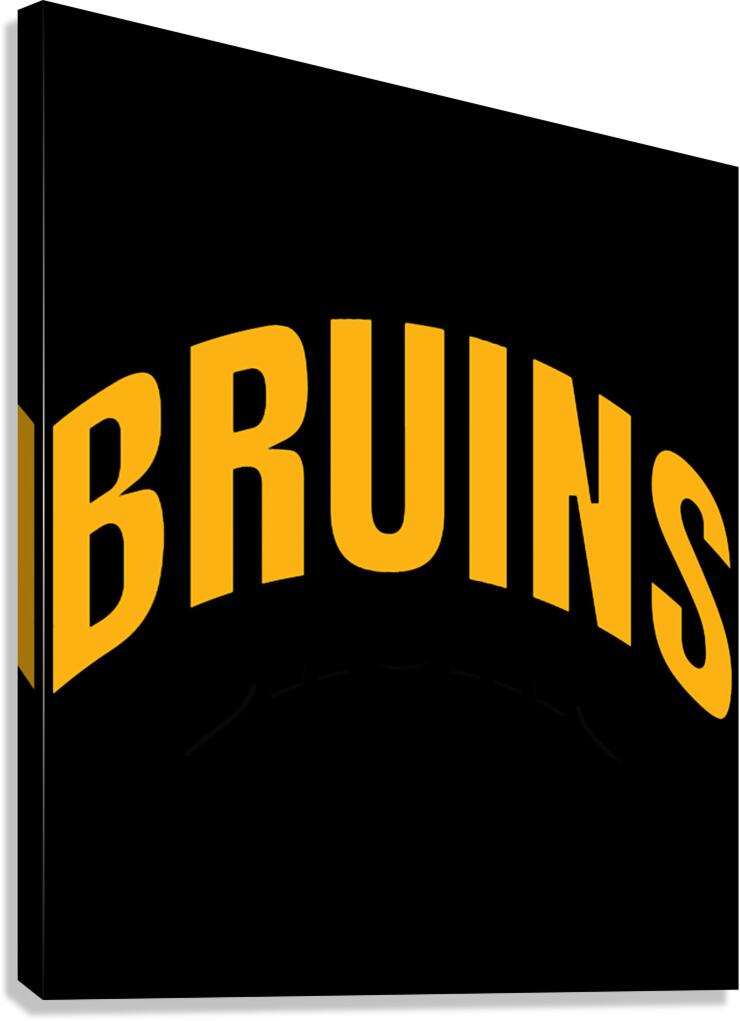 Bruins Canvas Print