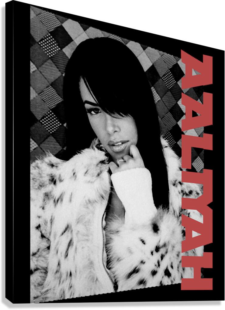 aaliyah Canvas Print