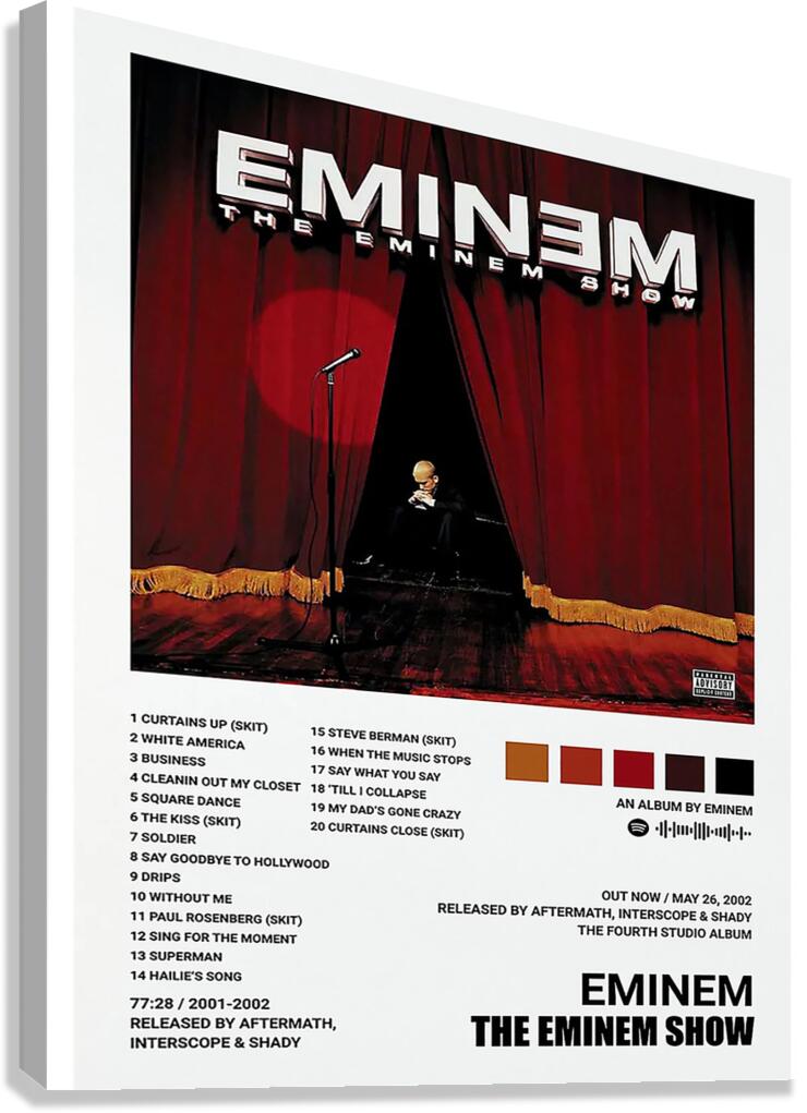 Eminem 12 Canvas Print