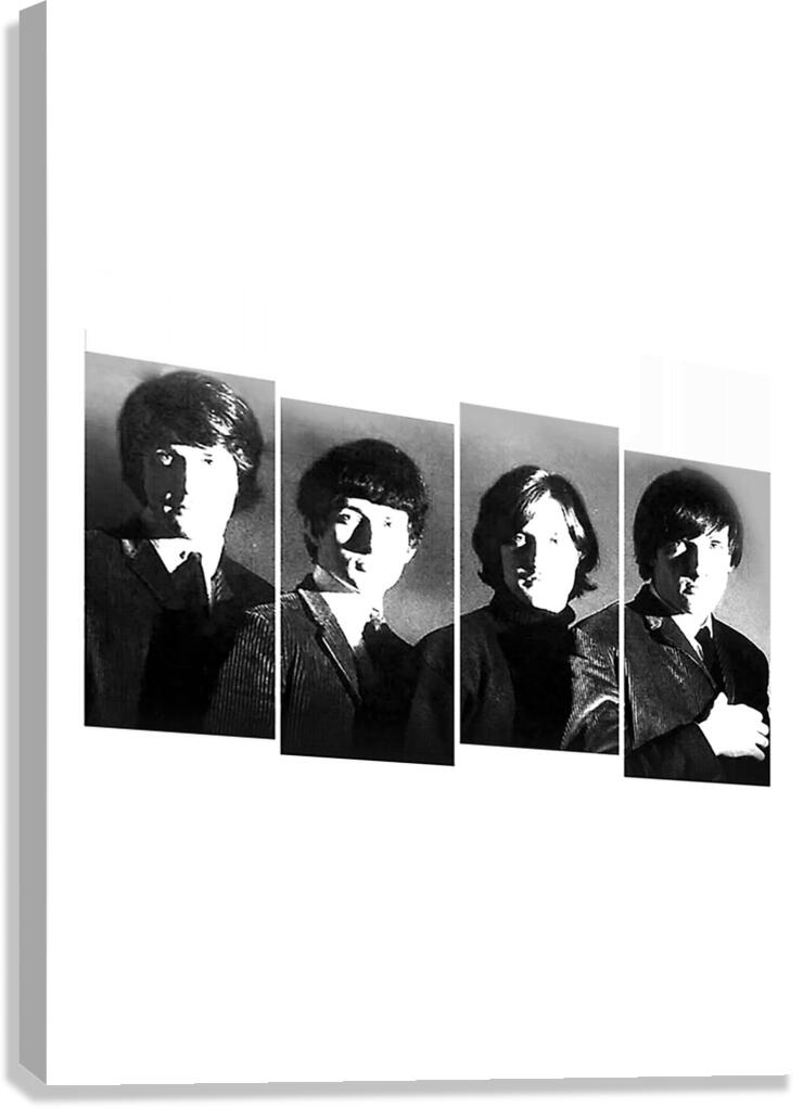 Kinks 3 Canvas Print