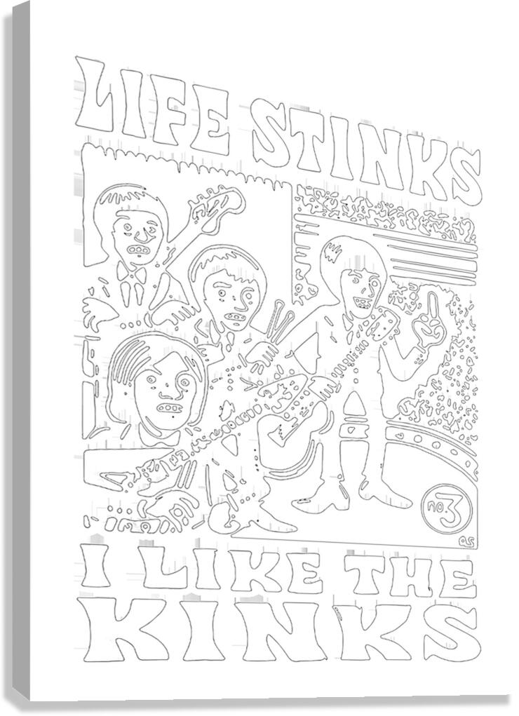 Kinks 17 Canvas Print
