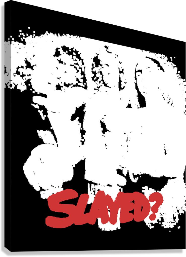 slade 14 Canvas Print