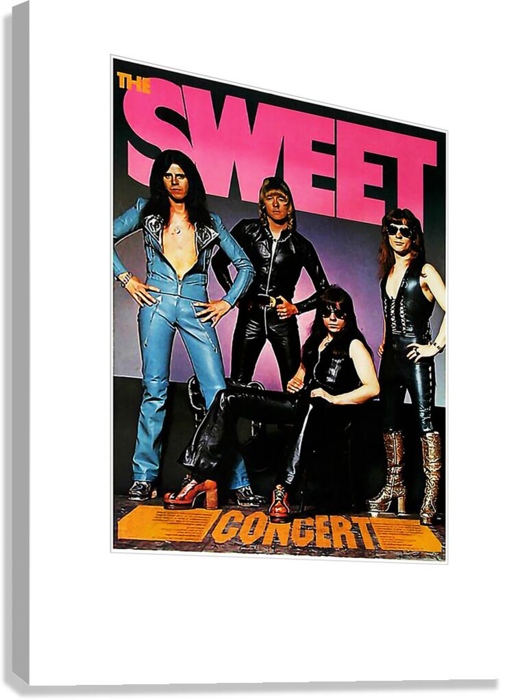 slade 35 Canvas Print