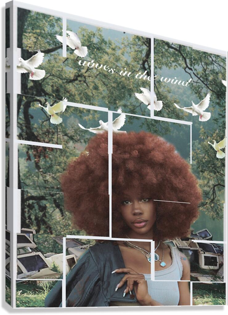 SZA 11 Canvas Print