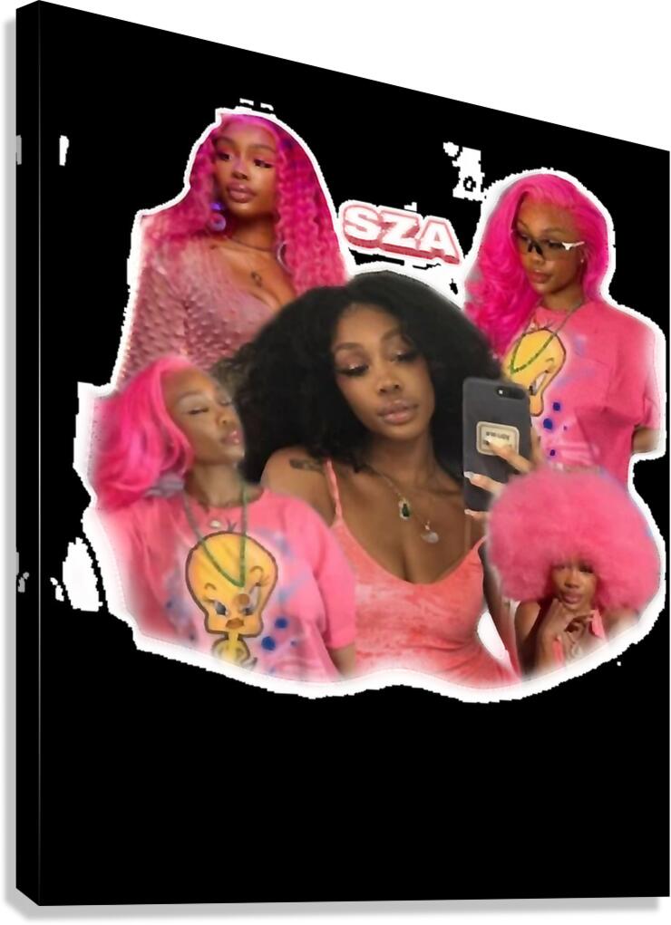 SZA 15 Canvas Print