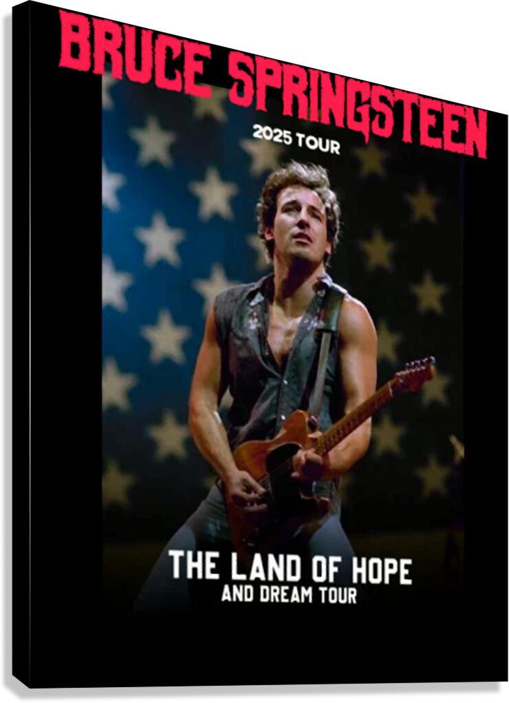 Bruce Springsteen 8 Canvas Print