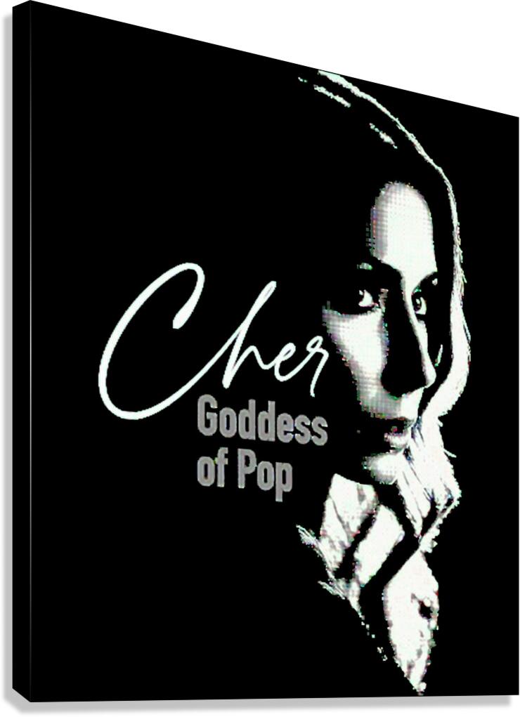 Cher 8 Canvas Print
