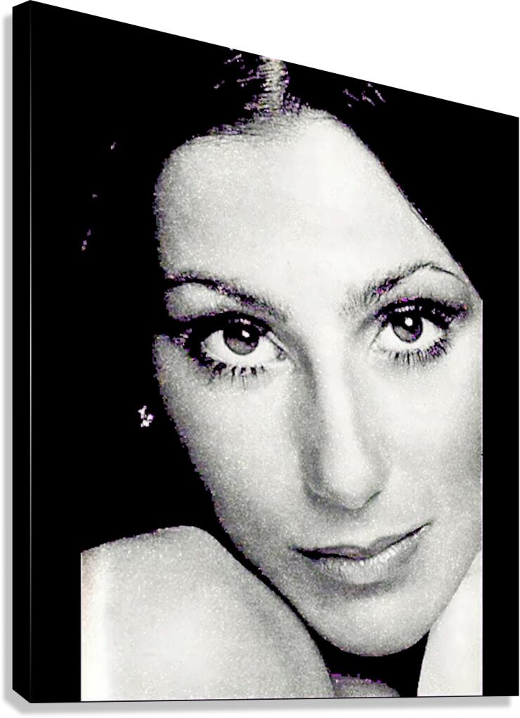Cher 16 Canvas Print