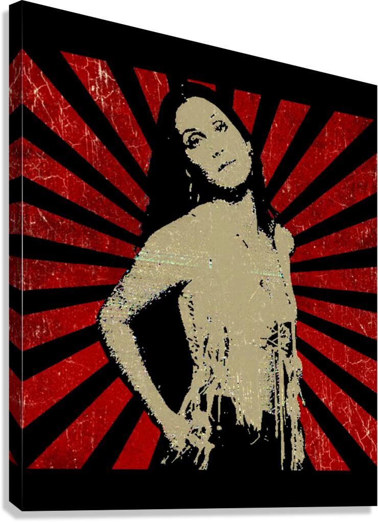 Cher 17 Canvas Print