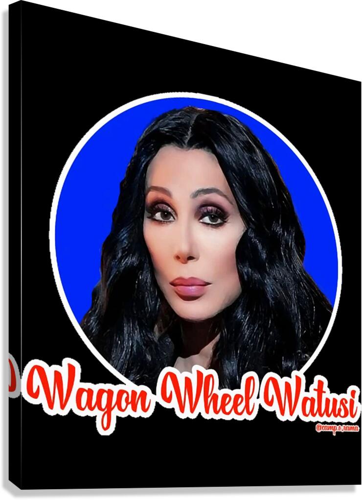 Cher 25 Canvas Print
