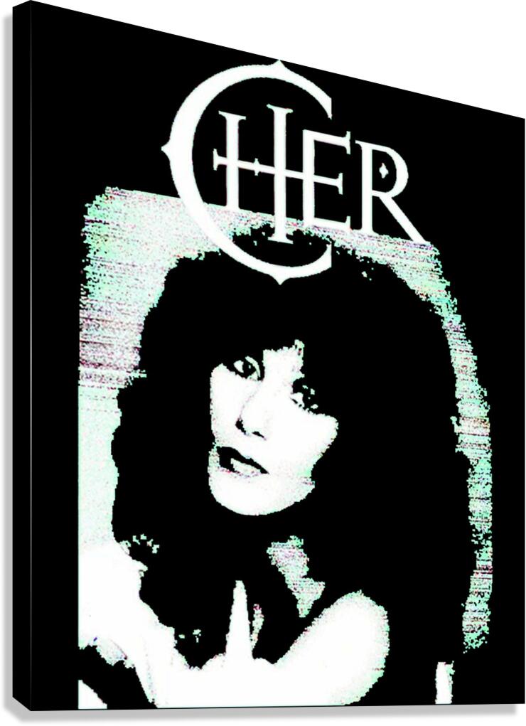 Cher 26 Canvas Print