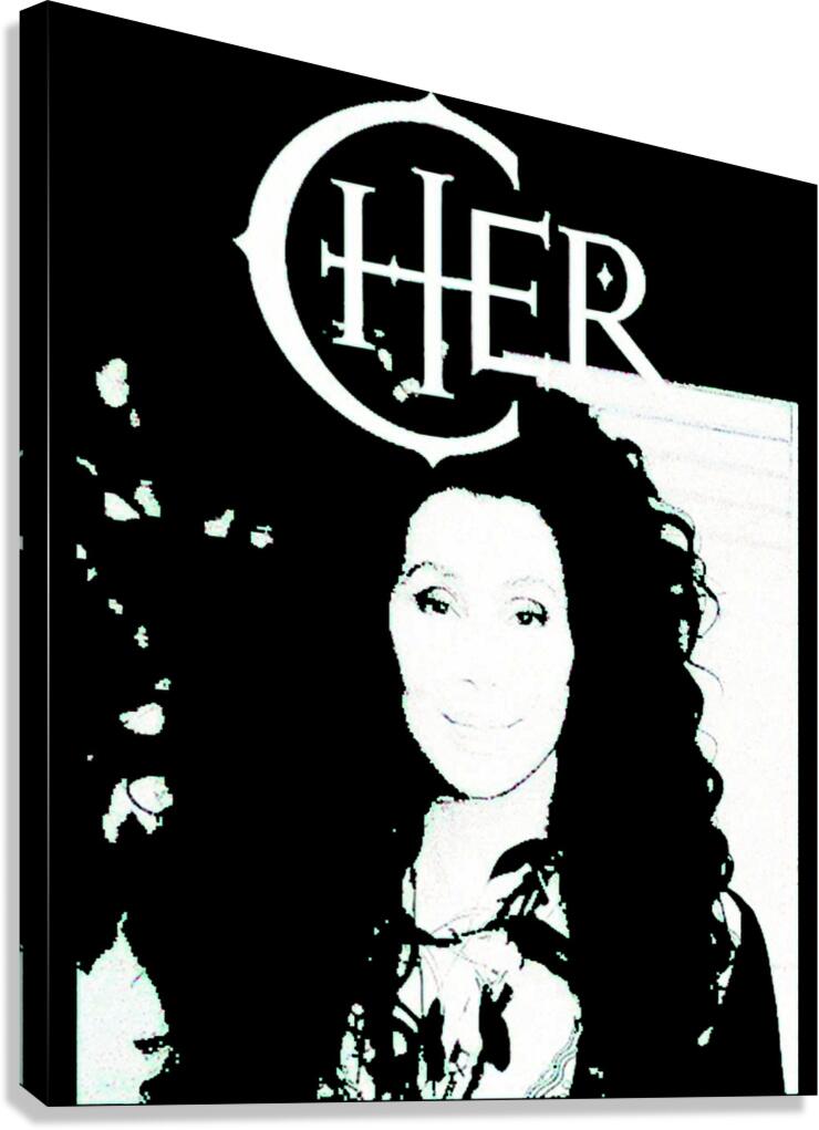 Cher 28 Canvas Print