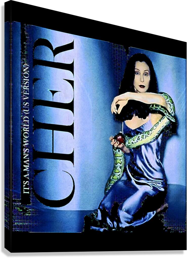 Cher 29 Canvas Print