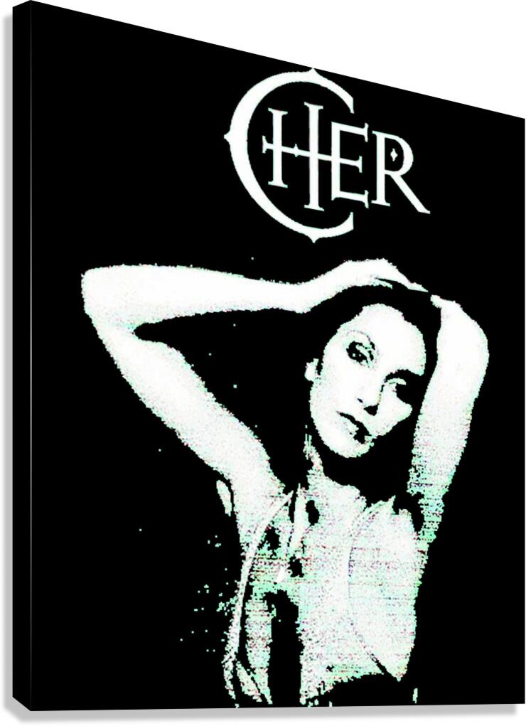 Cher 31 Canvas Print