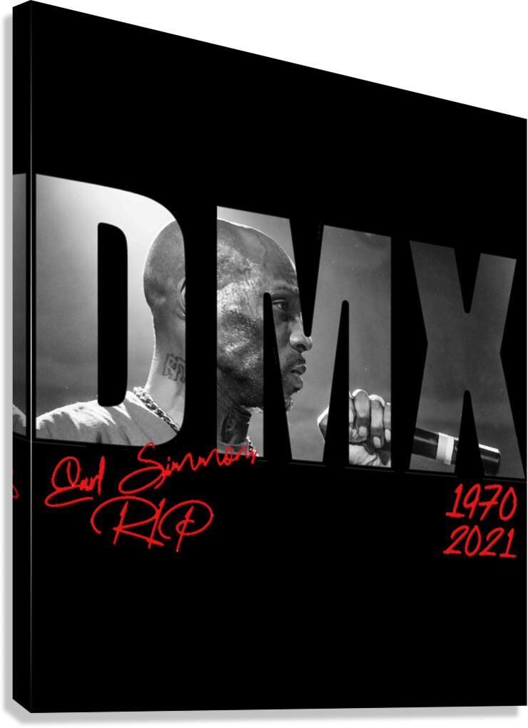DMX 3 Canvas Print