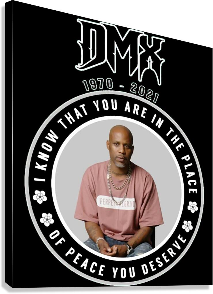 DMX 4 Canvas Print