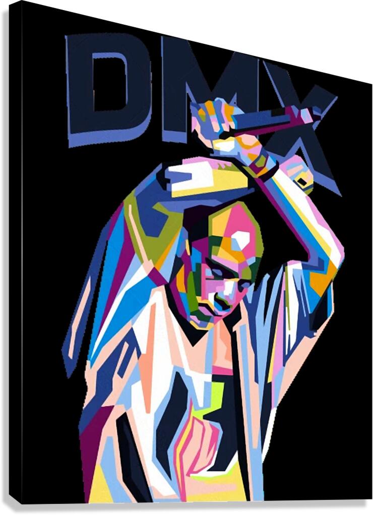 DMX 5 Canvas Print